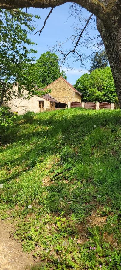 Hotel La Boissiere, Le Domaine De Brugal Carsac-Aillac Exterior foto